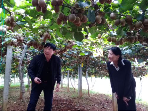围绕中心全面推进科协系统深化改革119.png