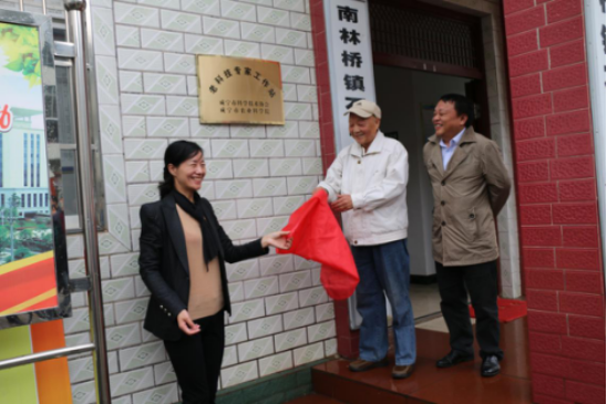 咸宁市科协供稿：市科协“送科技下乡”为党的十九大献礼159.png
