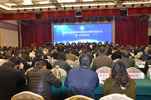 大会现场.jpg