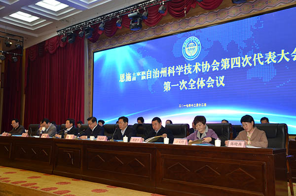 出席大会的领导.jpg