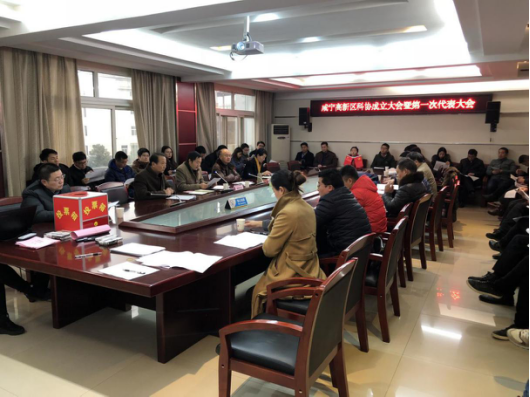 咸宁高新区召开科协成立大会暨第一次代表大会198.png
