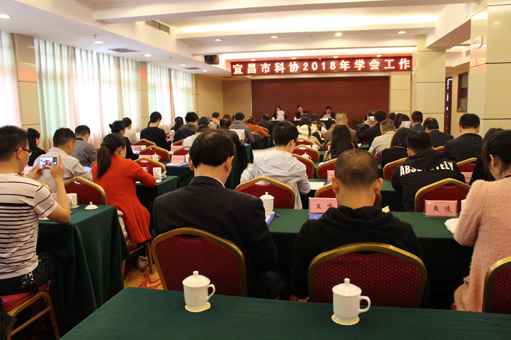 会议现场.jpg