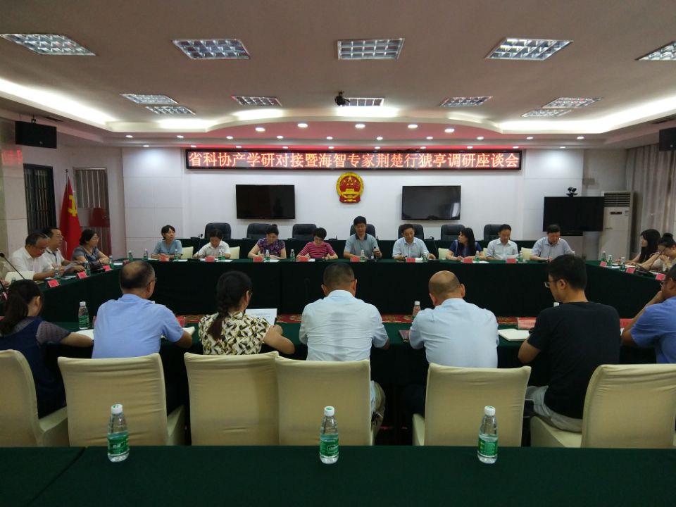 市委常委、组织部长汪伟、市科协主席任云在南玻调研座谈.jpg