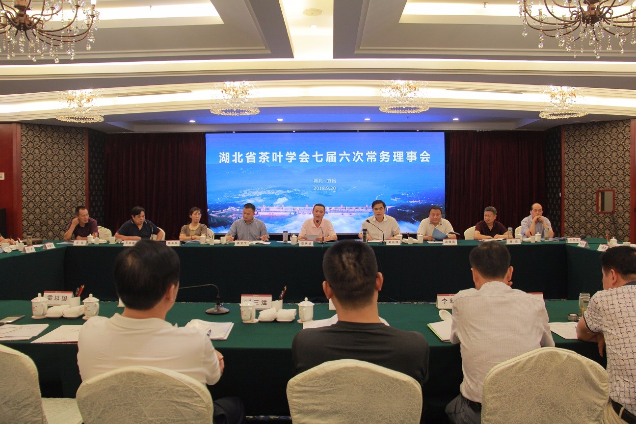 理事会-1.jpg