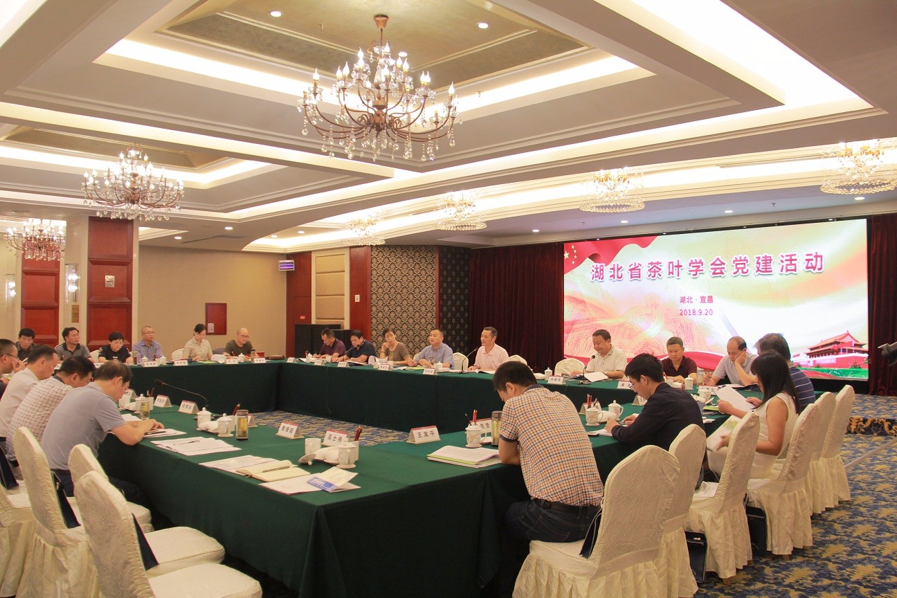 党建活动-1.jpg