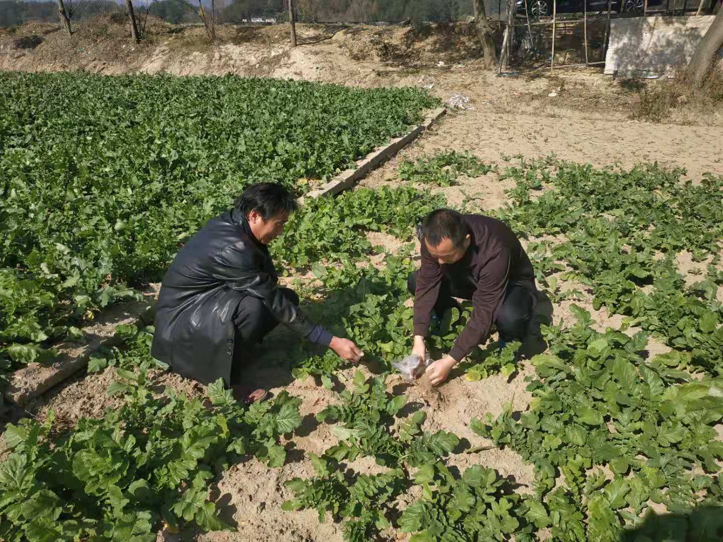微信图片_20181104095850.jpg