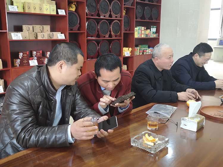 （黄友谊教授在湖北省青翠源茶业有限公司调研黑茶产品加工技术）