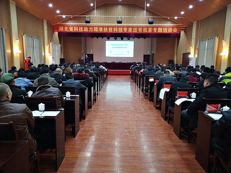 （省科技专家团有机茶生产和精深加工技术专题培训会场）