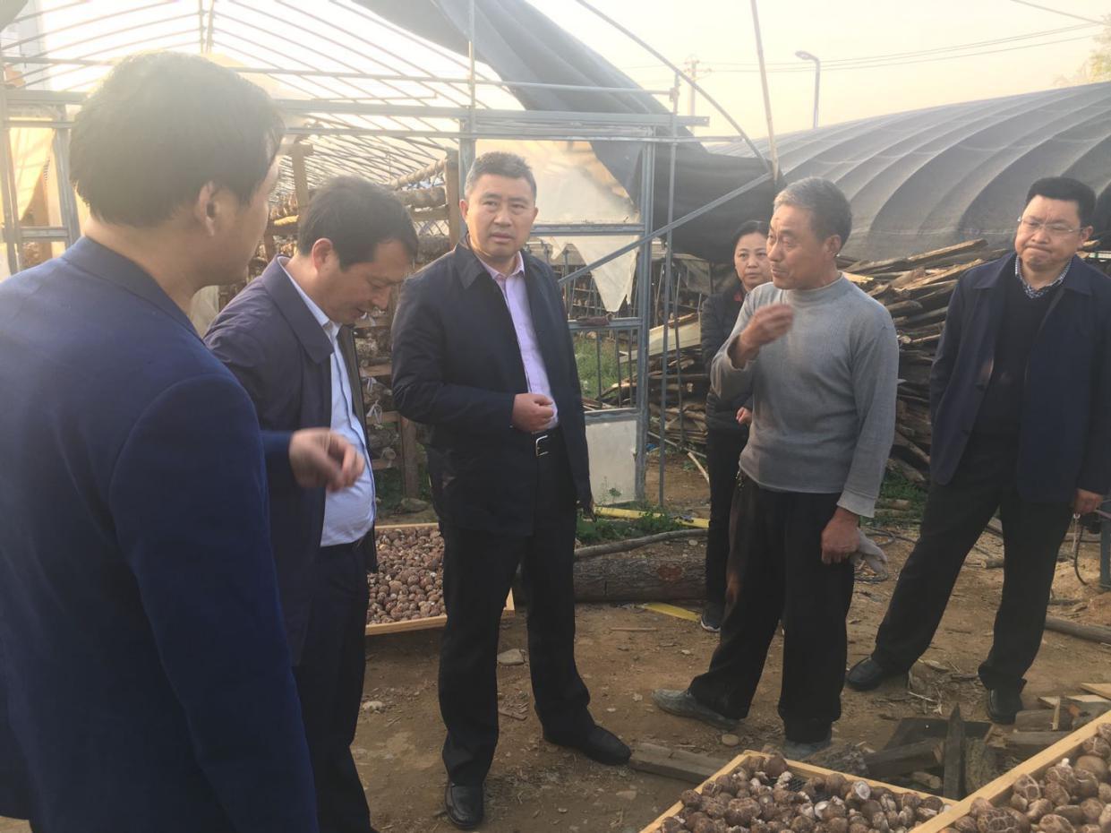 简报照片2.jpg