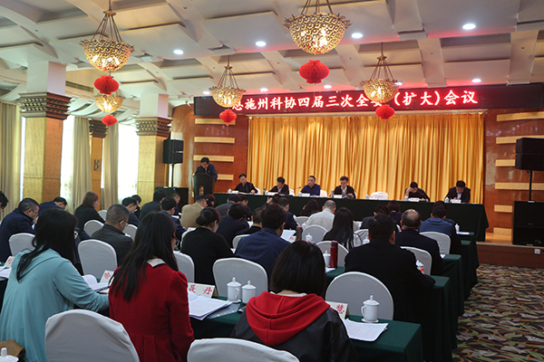 会议现场.jpg