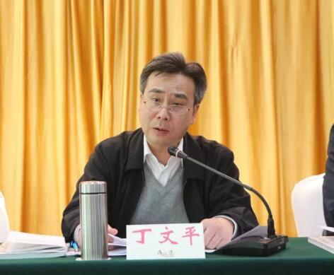 副州长丁文平讲话.jpg