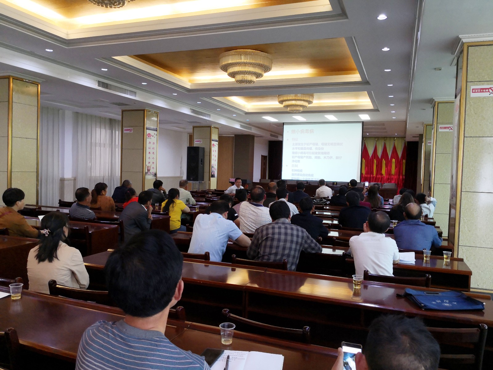 QQ图片20190524184929.jpg