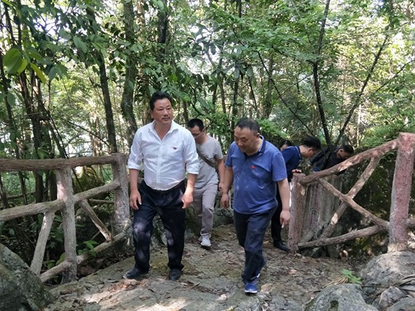 走访湖北联华科技集团有限公司车洞坪民宿养生基地.jpg