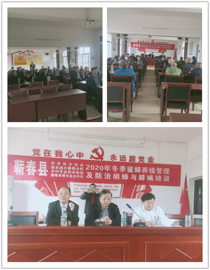 图片1_副本.png