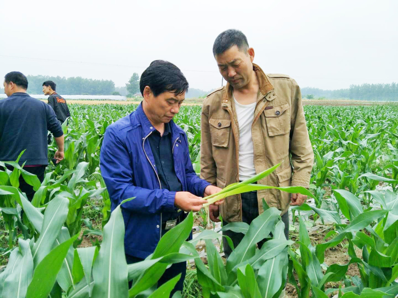 000乔志刚-1.jpg