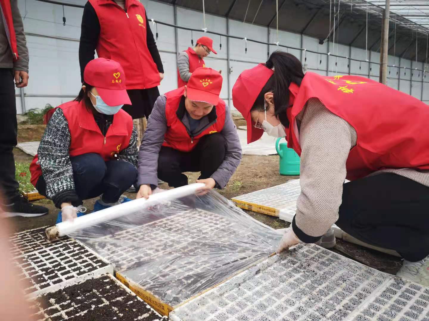 图片1.jpg