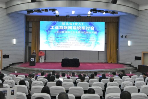 图片3_副本.jpg