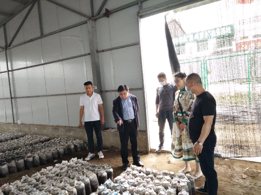 黄冈市科协党组书记、主席骆明正到黄州区调研指导工作1.jpg
