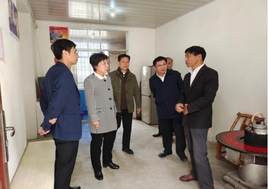 走村入户知乡情，奋楫扬帆谋振兴——黄冈市人大常委会副主任陈少敏到罗田县李家坳村调研指导工作 .jpg