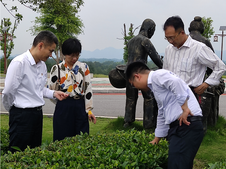 微信图片_20220531084336.png