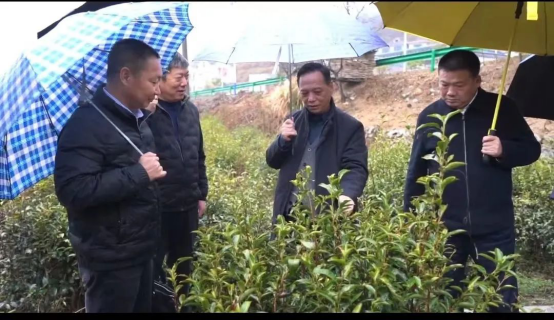 黄冈市举行新建专家工作站授牌活动1631.png