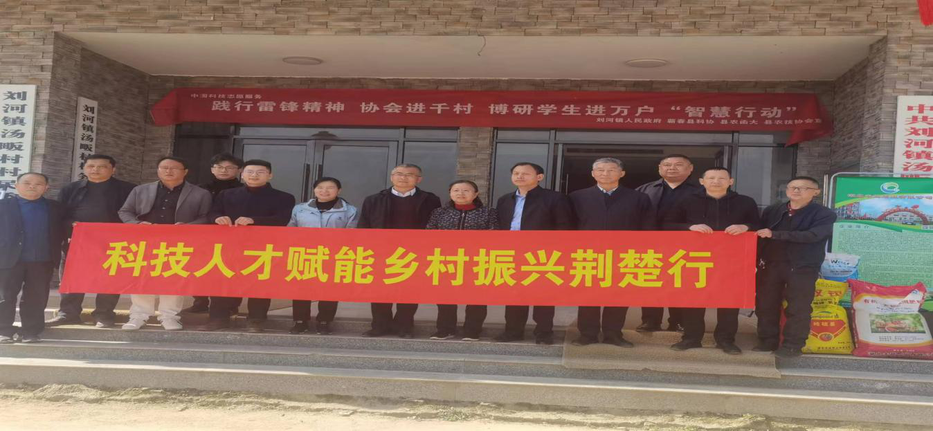 图片12.png