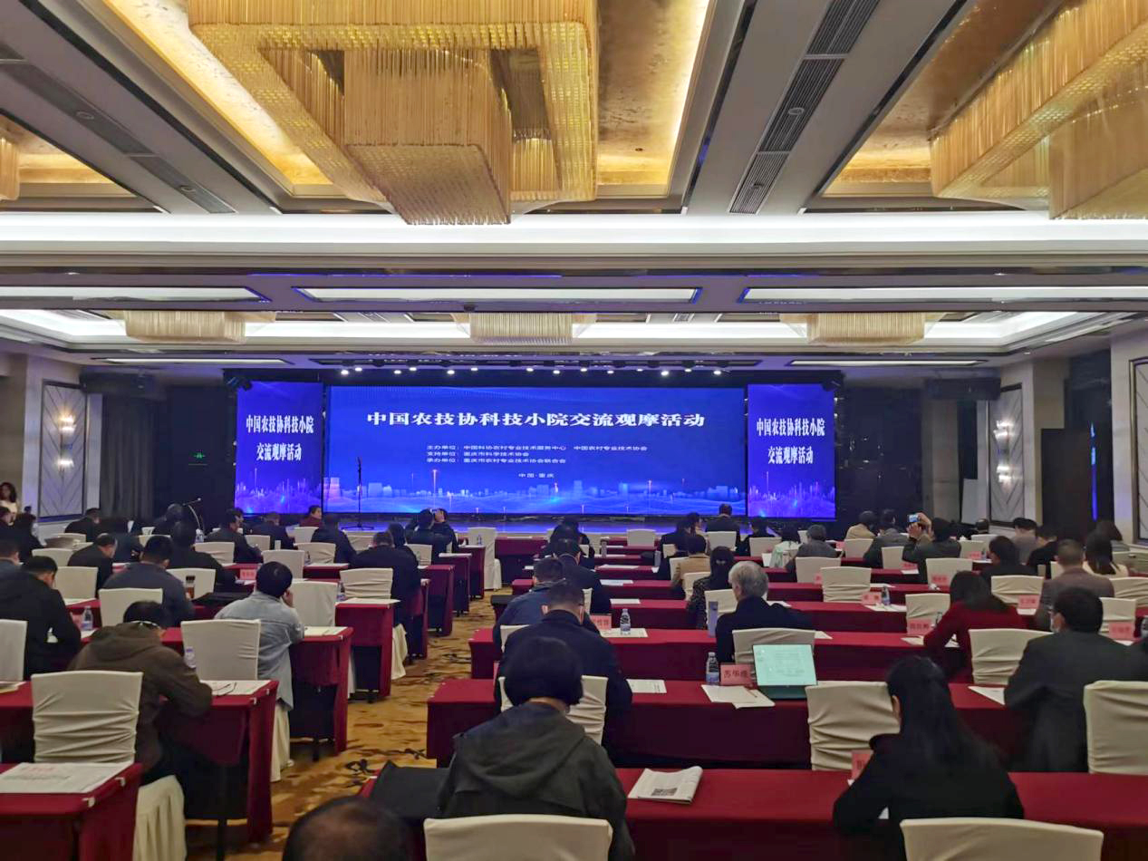 图片9.jpg