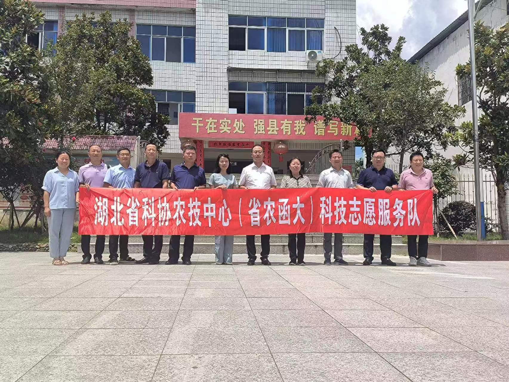 罗田4.jpg