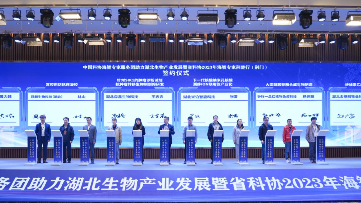 10王新云2.png