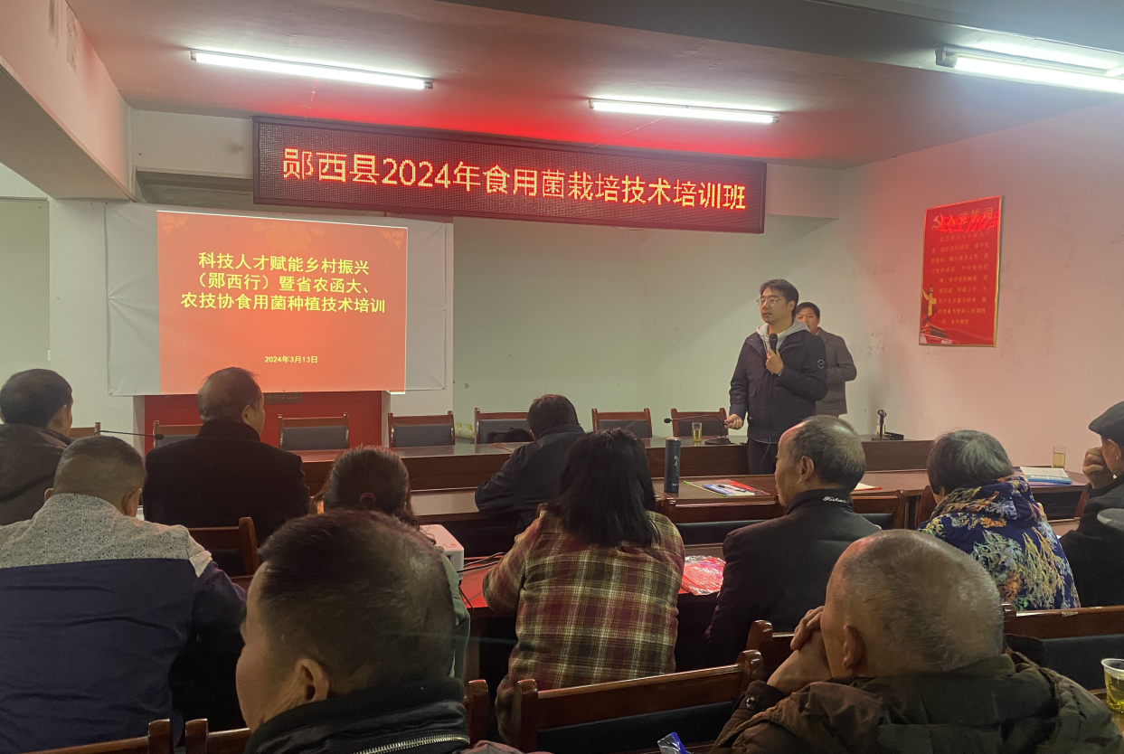 截图_选择区域_20240315141645.png