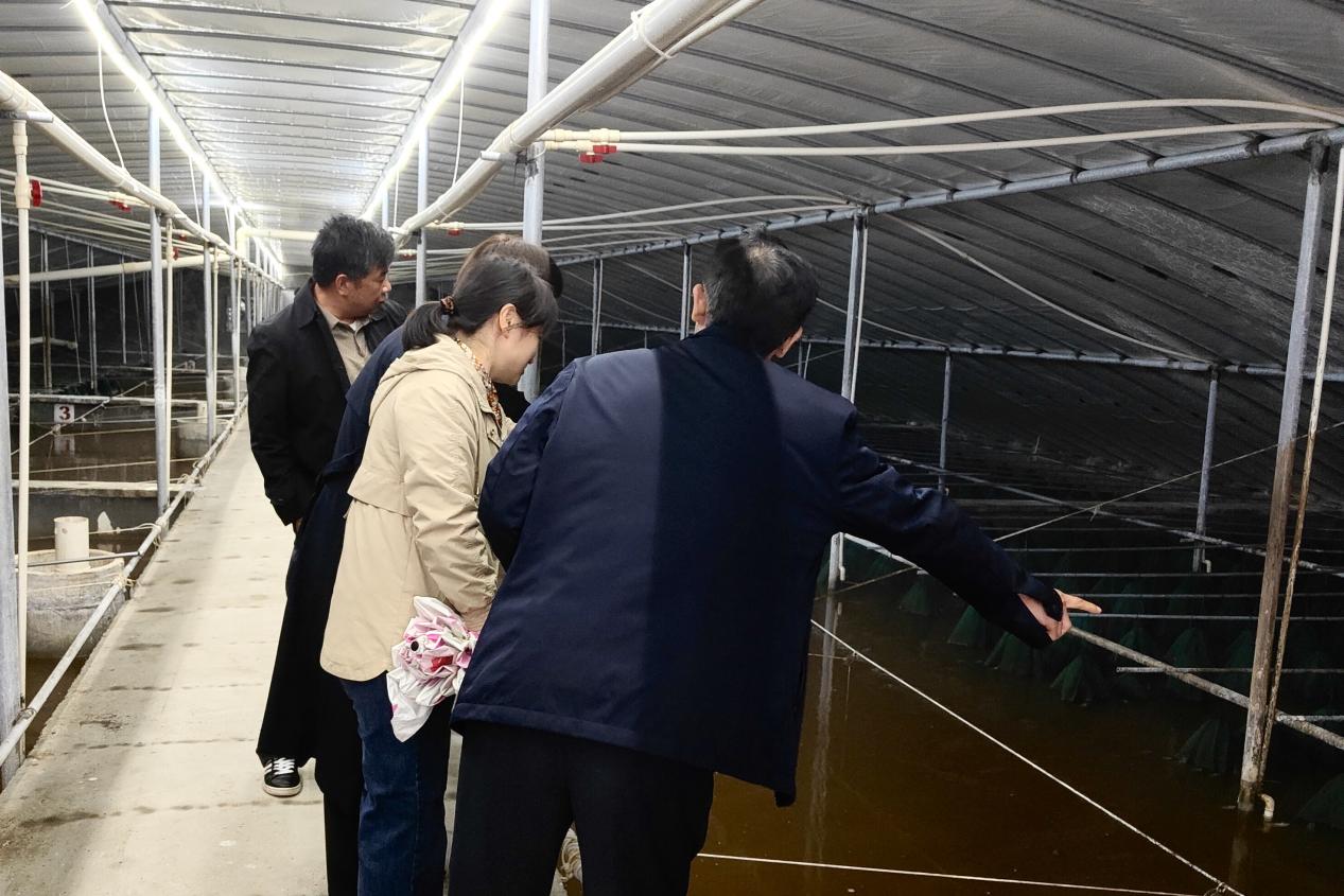 科协投稿）武汉市农科院专家团队到应城市专家工作站开展技术指导.jpg
