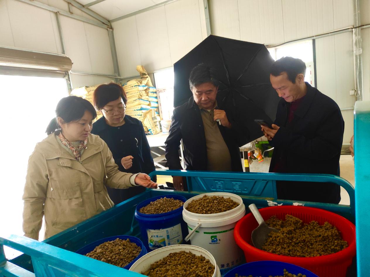 （应城科协投稿）武汉市农科院专家团队到应城市专家工作站开展技术指导.jpg