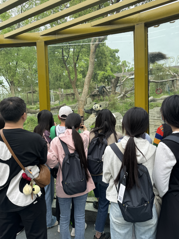 QQ截图20240418144510.png