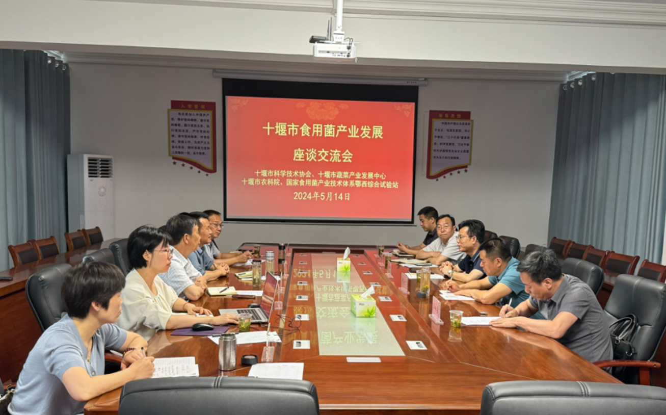 截图_选择区域_20240516104700.png