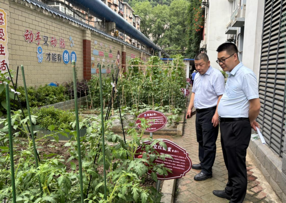 截图_选择区域_20240522113825.png