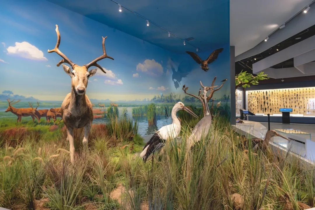 1721097354819076337.png 生物1.png