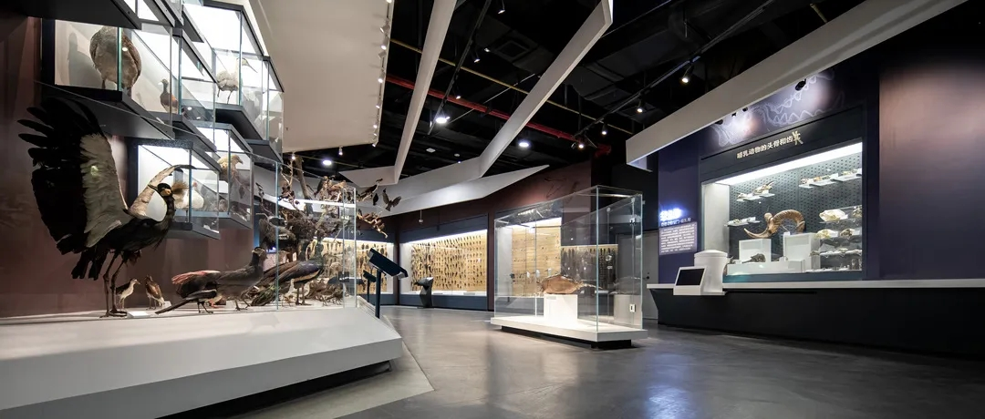 1721097376041060252.png 生物2.png