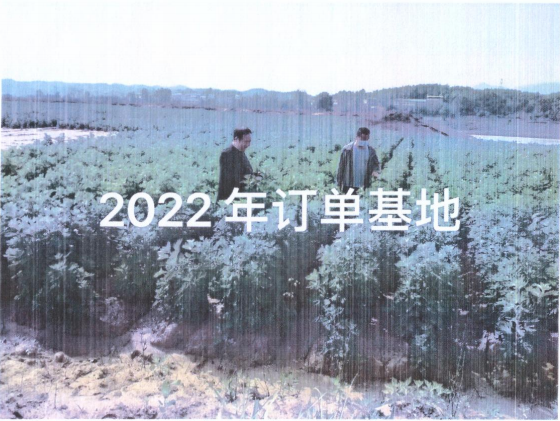 01_02 (2).png