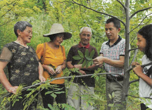 1723088397934045043.png 高融1.png