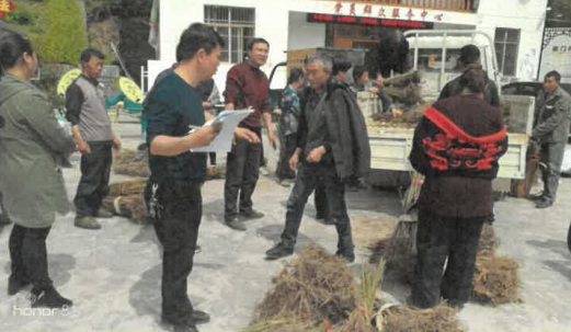 1723088417485051179.png 高融3.png