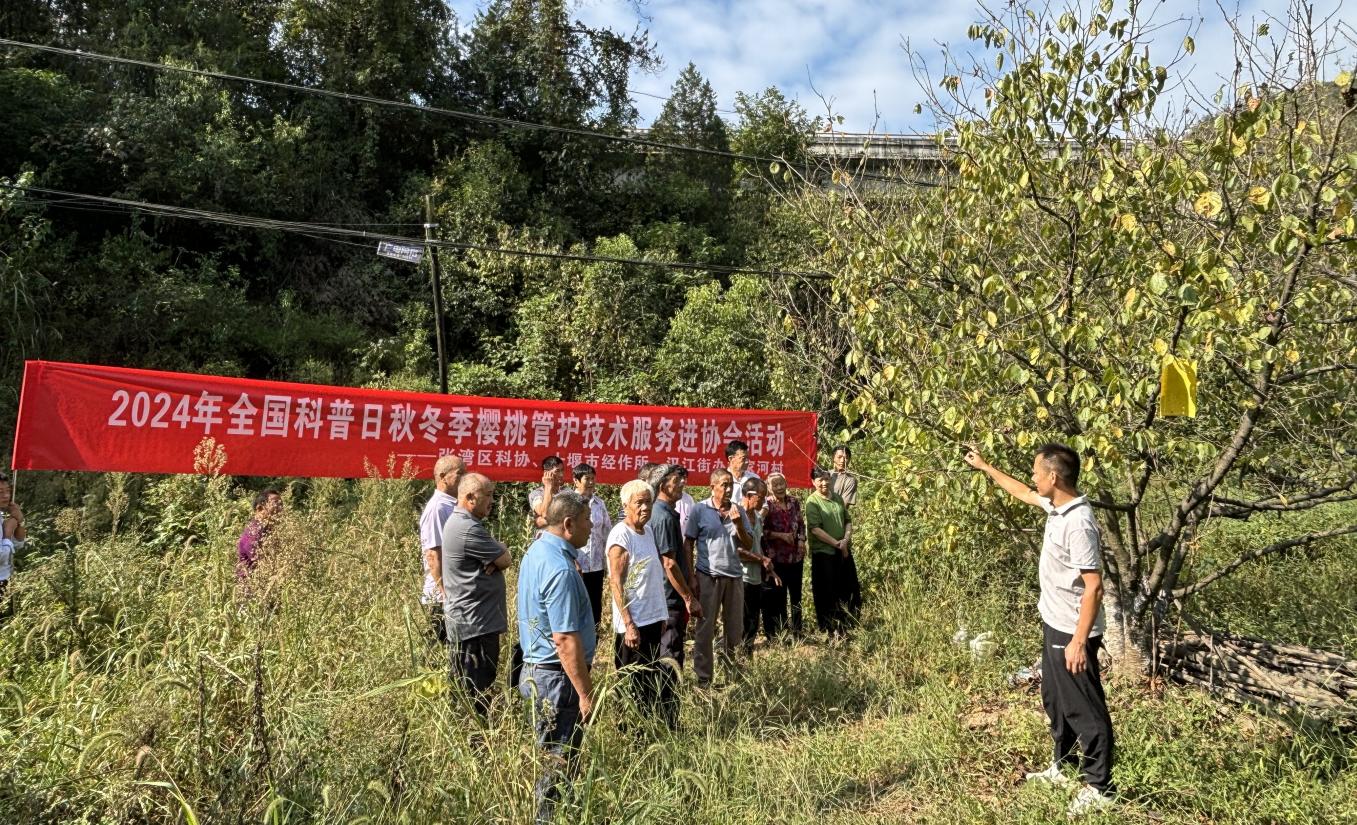 截图_选择区域_20240920151559.jpg