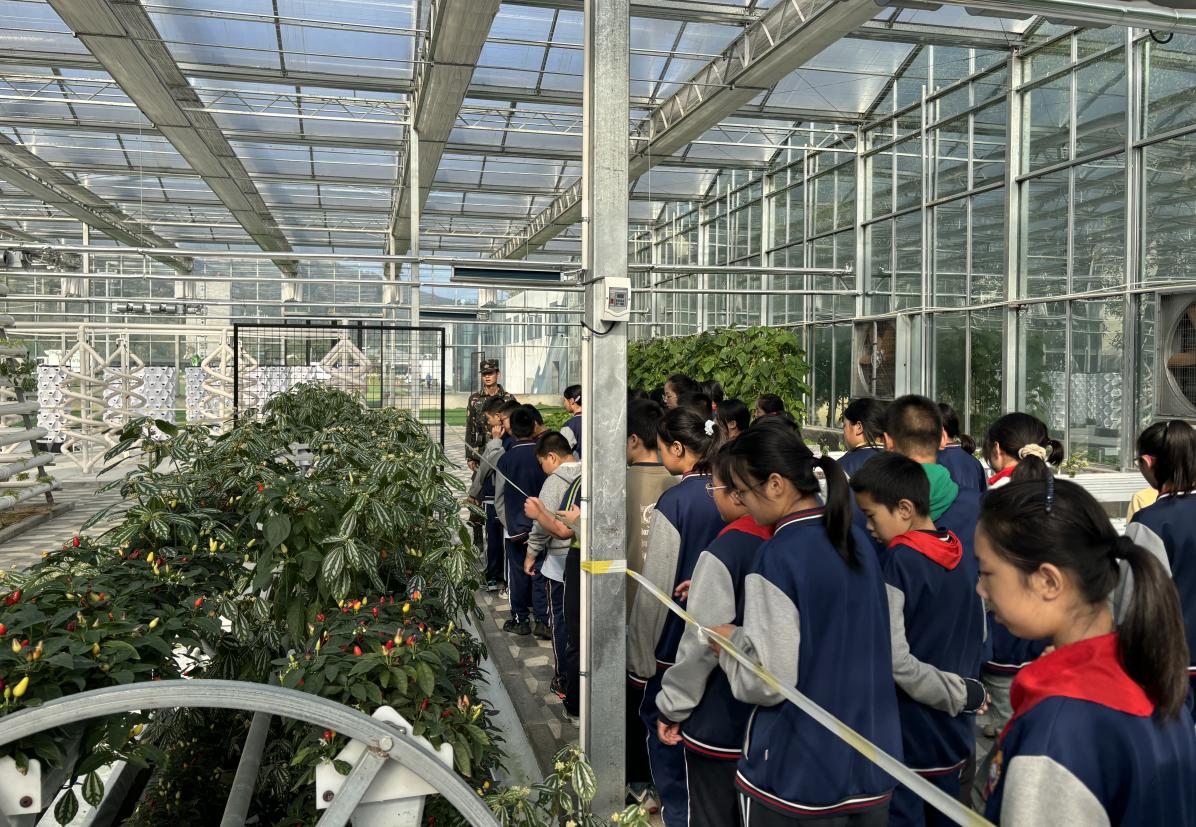 截图_选择区域_20241018171039.jpg
