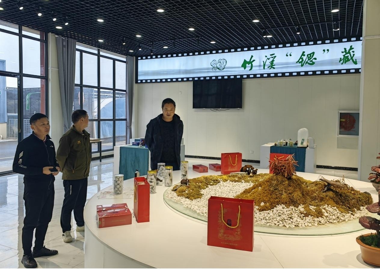 图片4.jpg