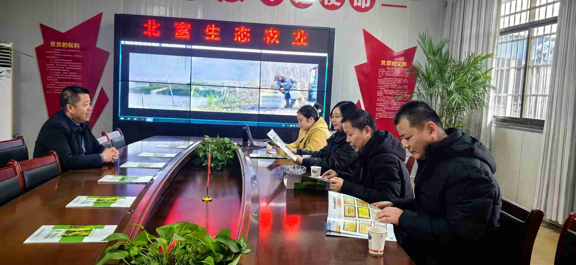图片4_副本.jpg