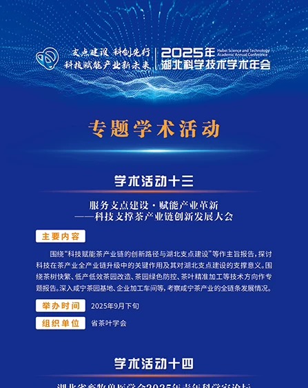 专题学术活动（五）