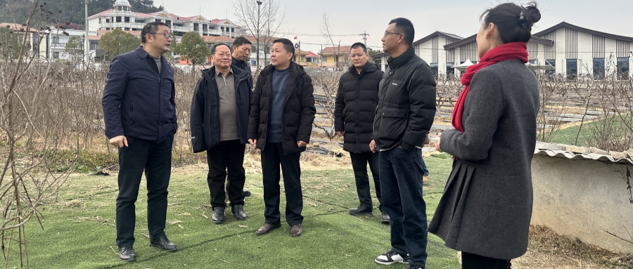 图片3_副本.jpg