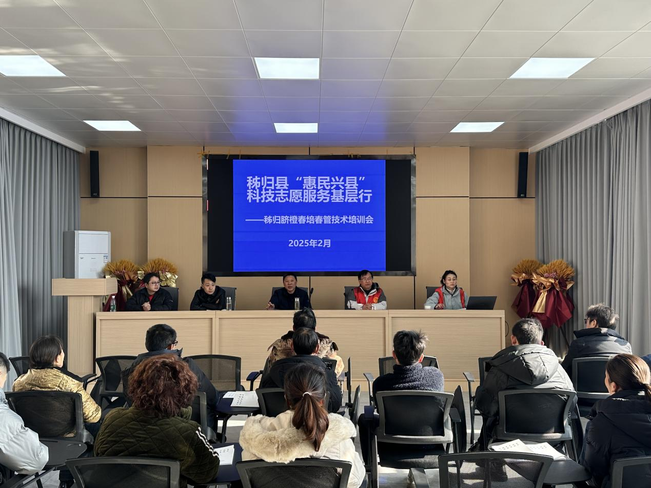 送科技到田头  闹春耕提品质1.png