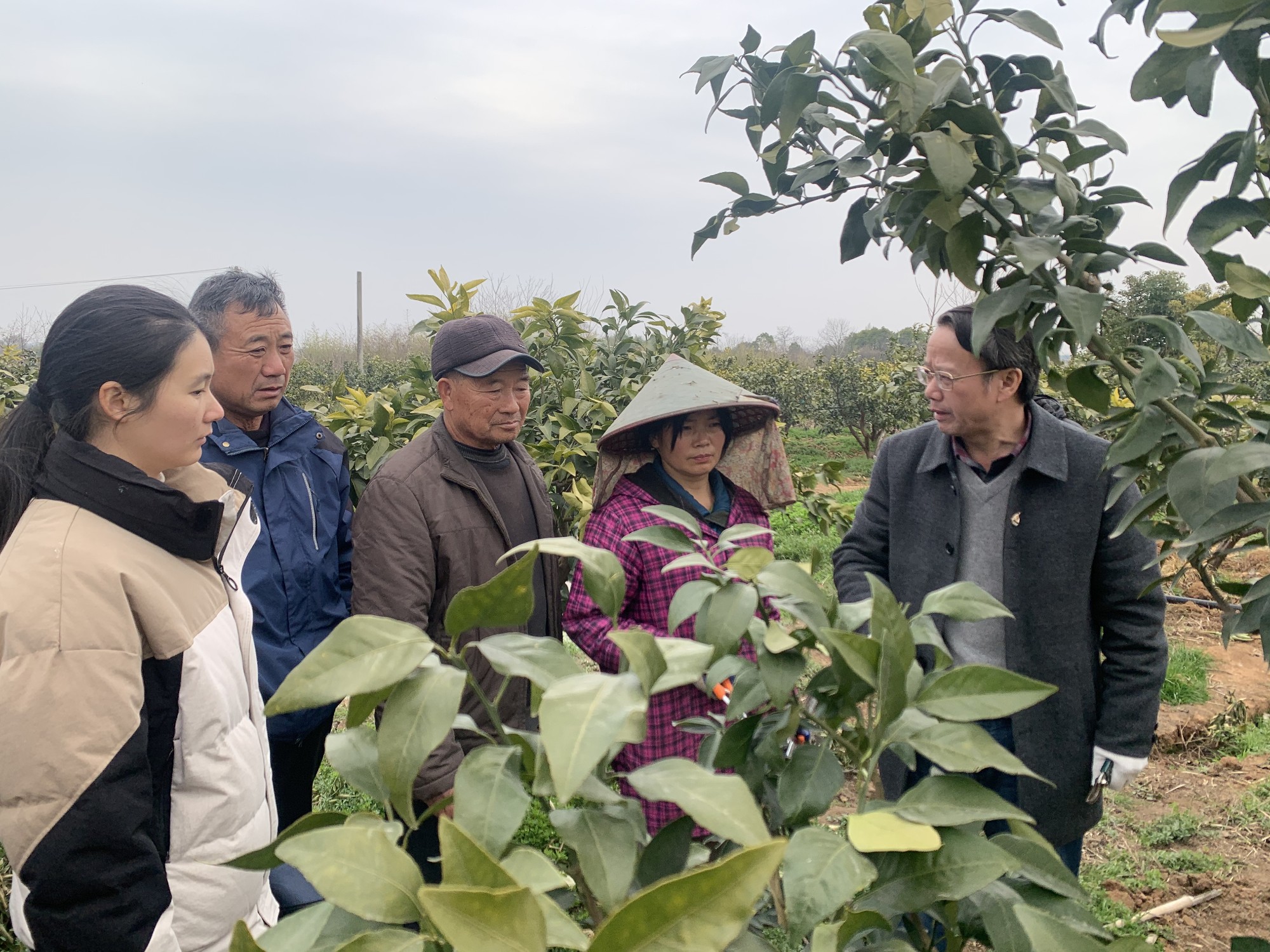 活动图片_20250224 (2)_副本.jpg