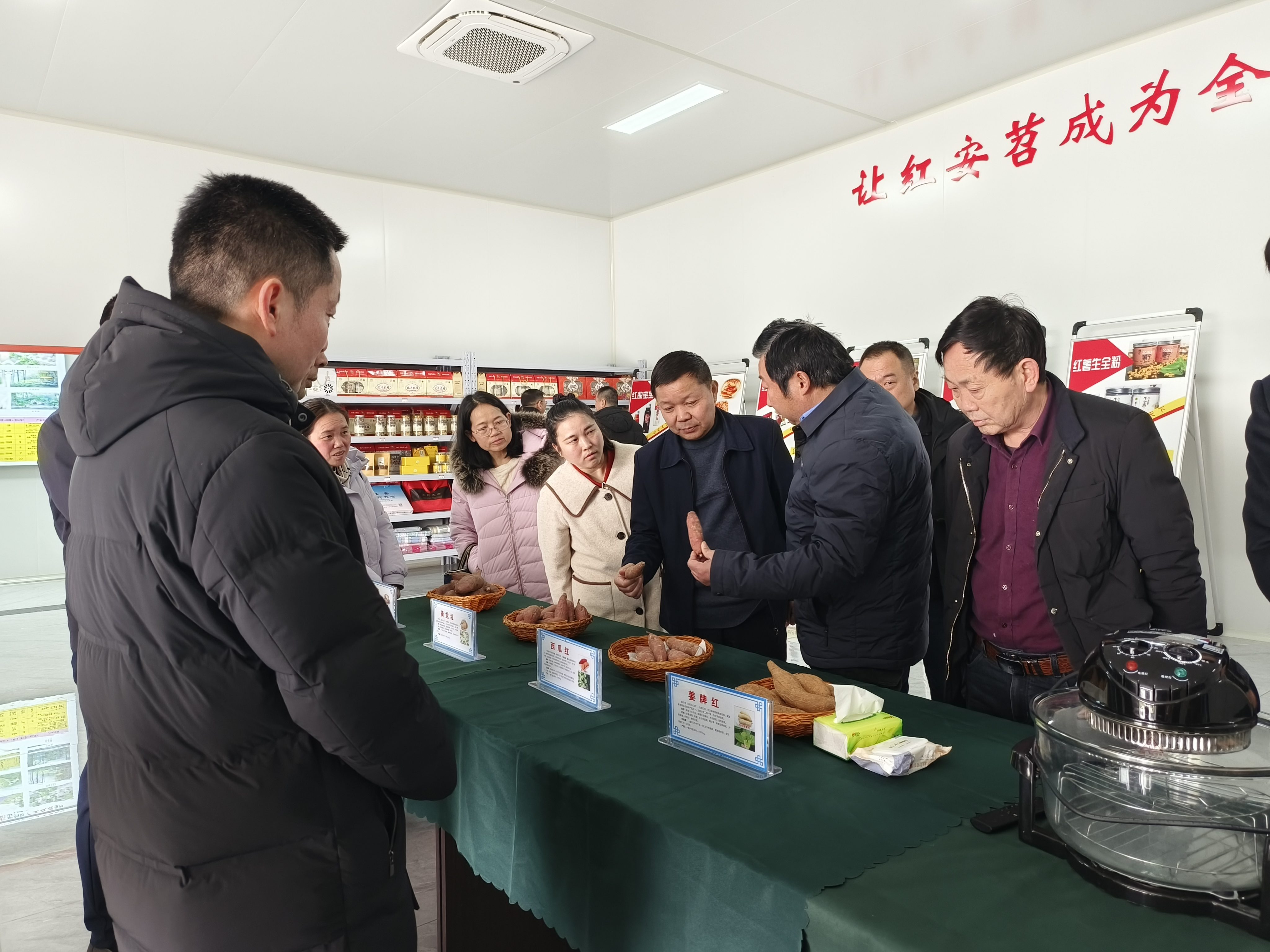 图片1_副本.jpg