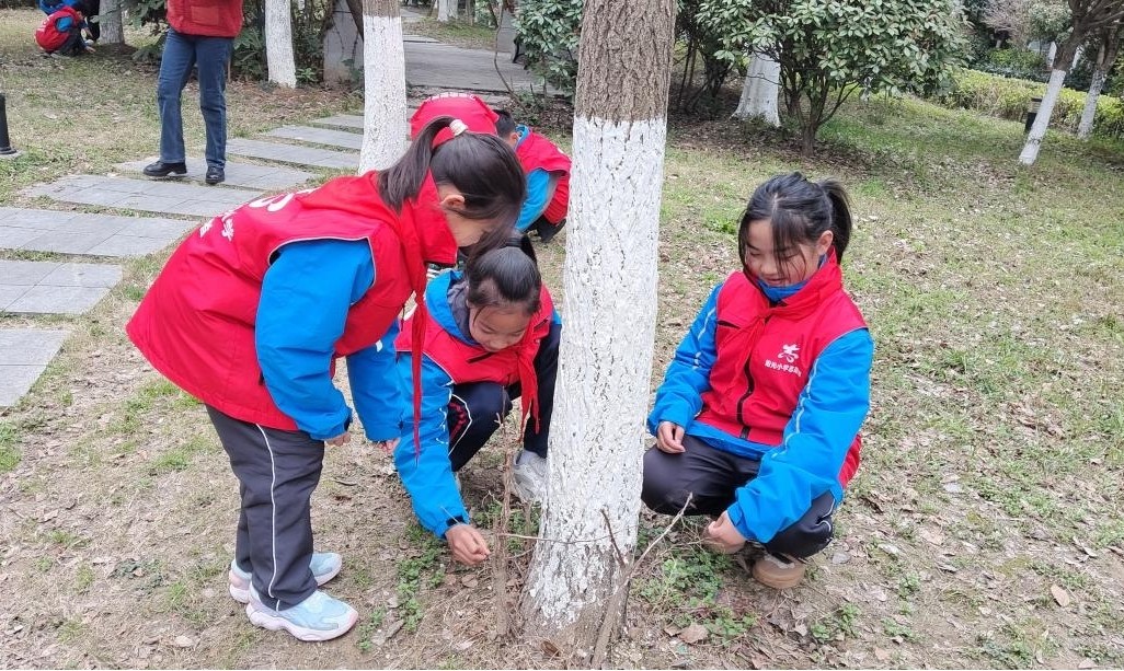 图片2.jpg